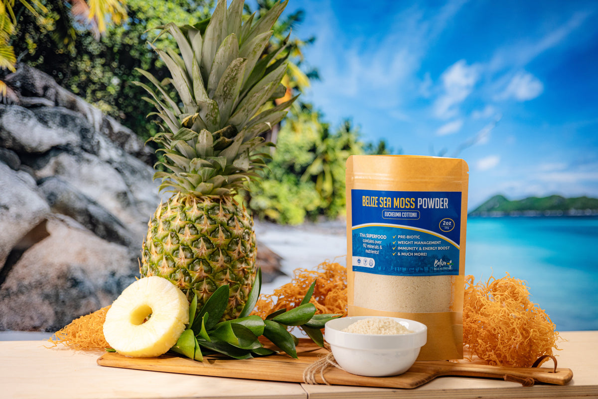 From Sea to Spoon — Our Eucheuma cottonii Is Now Available in Powder Form