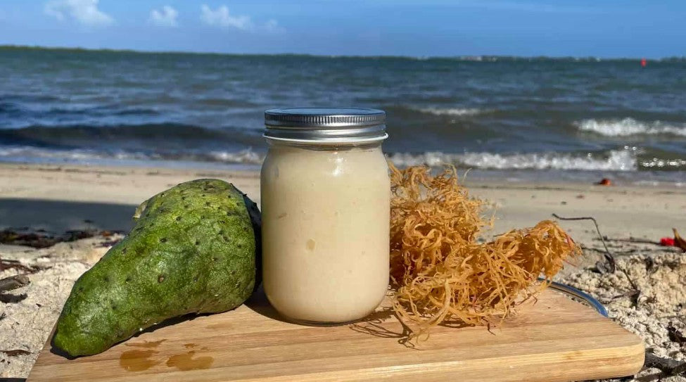 Soursop Sea Moss Gel Recipe