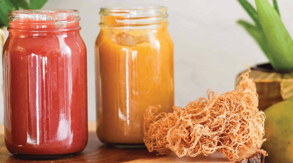 Fruit-Infused Sea Moss Gel