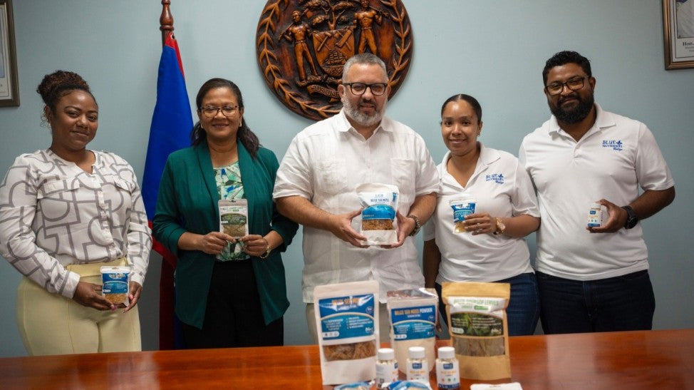 Blue Nutrients Develops Sea Moss Products for Export