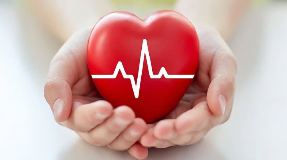 Sea Moss & Heart Health: A Natural Ally for Your Cardiovascular System