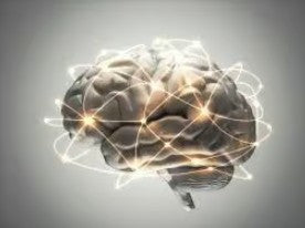 Eucheuma Cottonii & Brain Health: Clarity, Focus, and Stress Support from the Sea