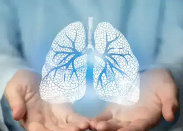 Seaweed & Inflammation: Natural Support for Lung and Overall Health