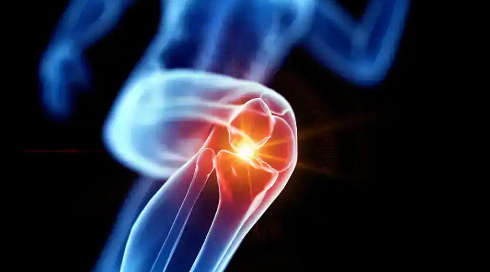 🦴 Unlocking Better Joint & Bone Health: Nature’s Role in Fighting Inflammation and Pain