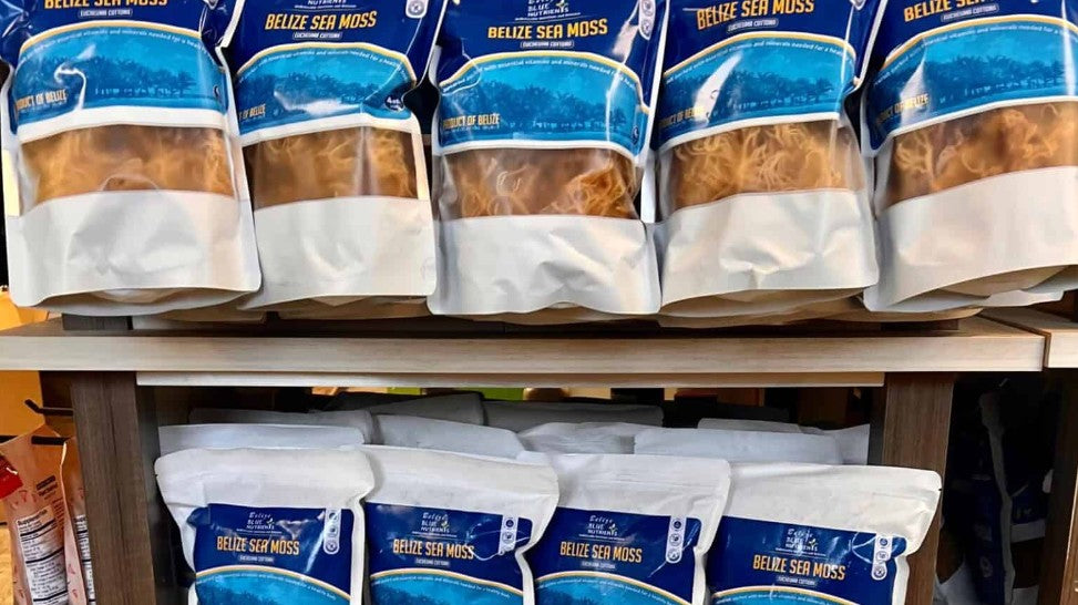 Belizean Sea Moss Arrives in Rowley, MA, and Kittery, ME