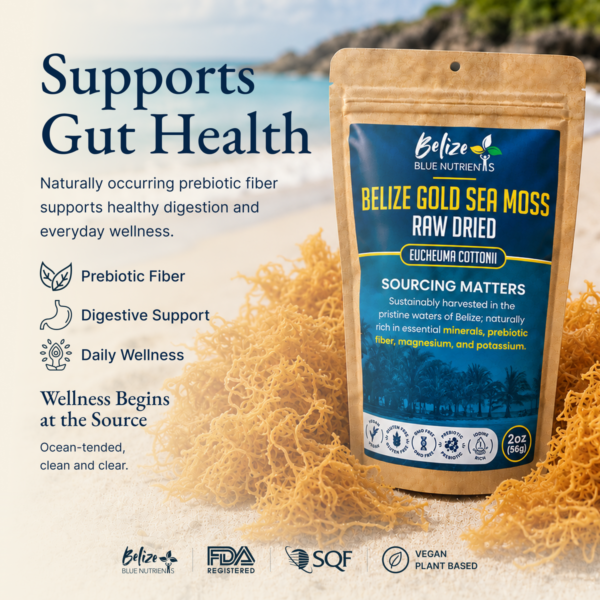 Belize Gold Sea Moss - Raw Dried (Eucheuma Cottonii)