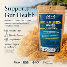 Belize Gold Sea Moss - Raw Dried (Eucheuma Cottonii)