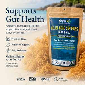 Belize Gold Sea Moss - Raw Dried (Eucheuma Cottonii)