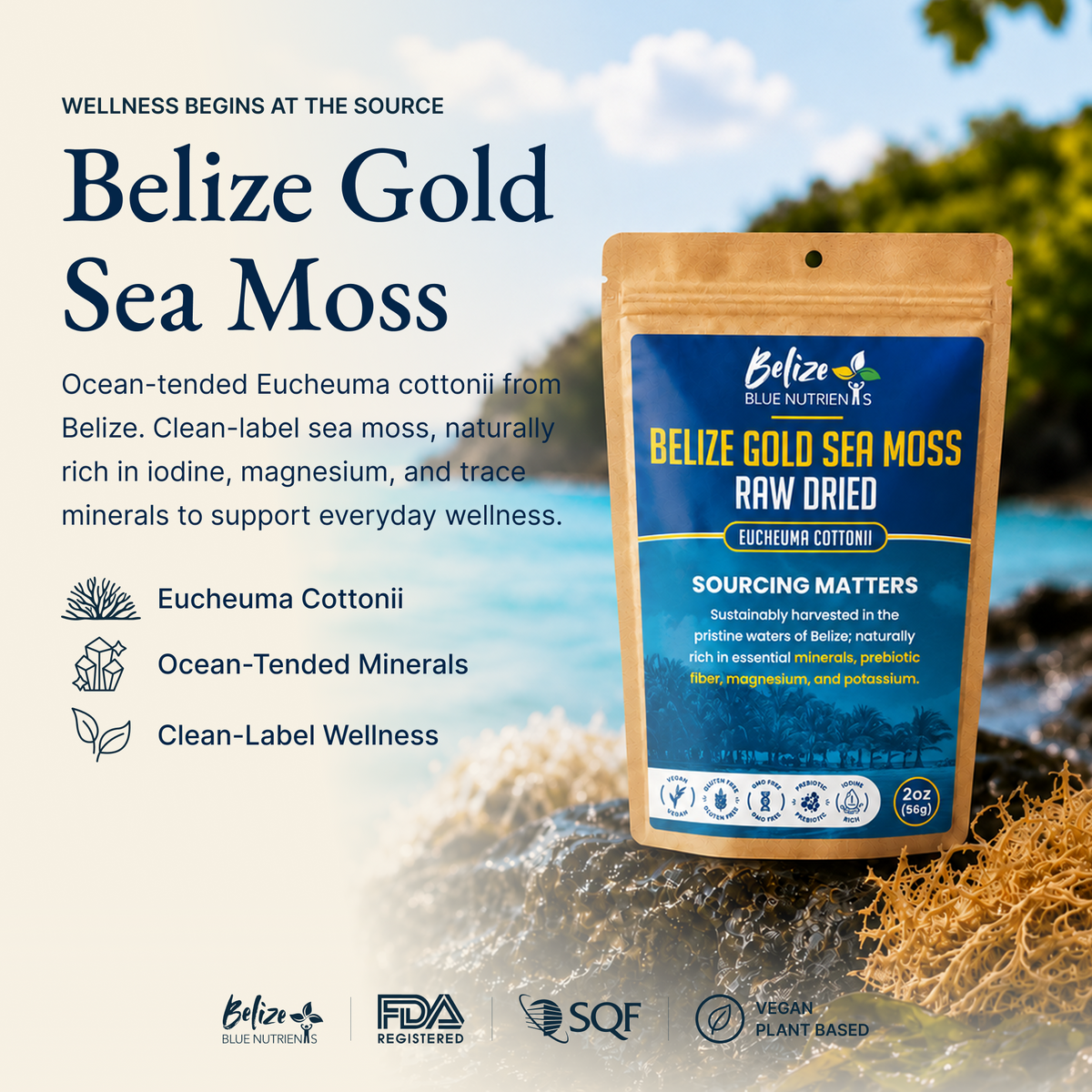 Belize Gold Sea Moss - Raw Dried (Eucheuma Cottonii)