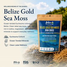 Belize Gold Sea Moss - Raw Dried (Eucheuma Cottonii)
