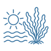 Warm-Water
Grown