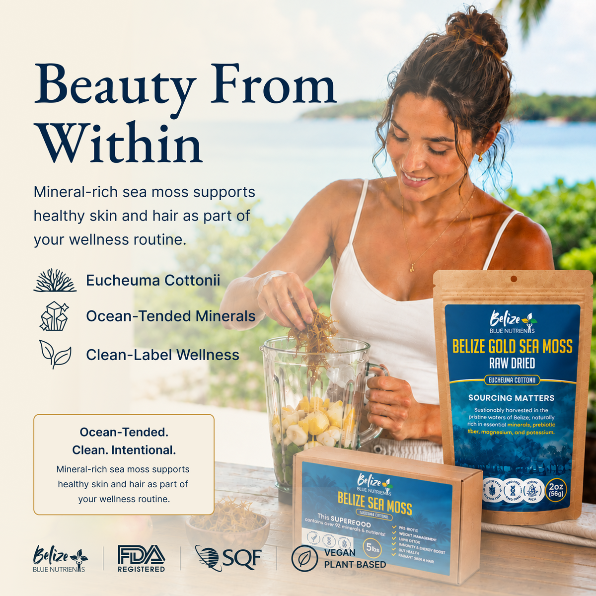 Belize Gold Sea Moss - Raw Dried (Eucheuma Cottonii)
