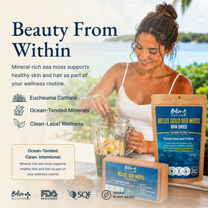Belize Gold Sea Moss - Raw Dried (Eucheuma Cottonii)