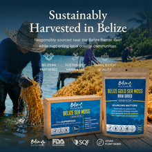 Belize Gold Sea Moss - Raw Dried (Eucheuma Cottonii)