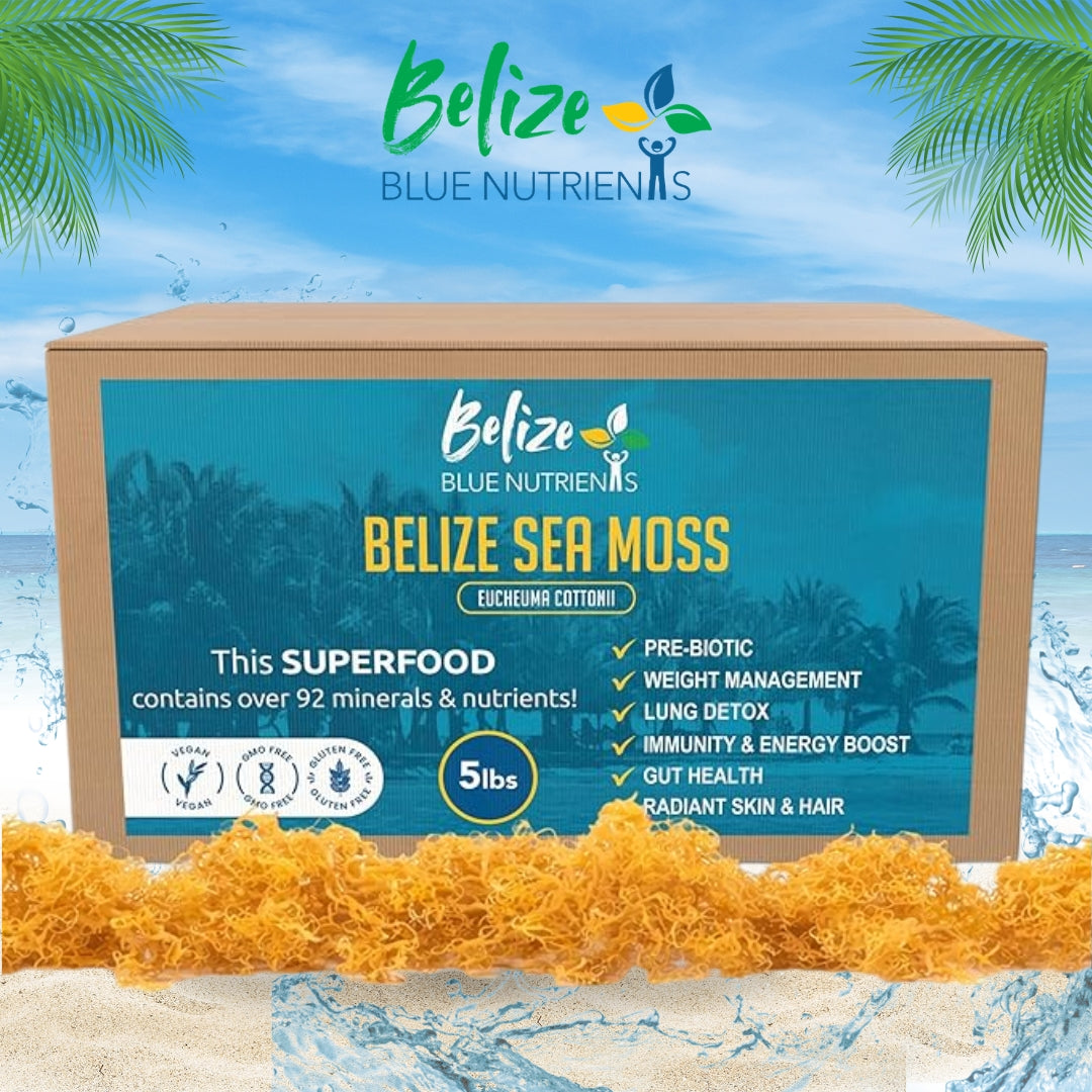 Belize Blue Nutrients Sea Moss - Eucheuma Cottonii - Bulk 5 lb