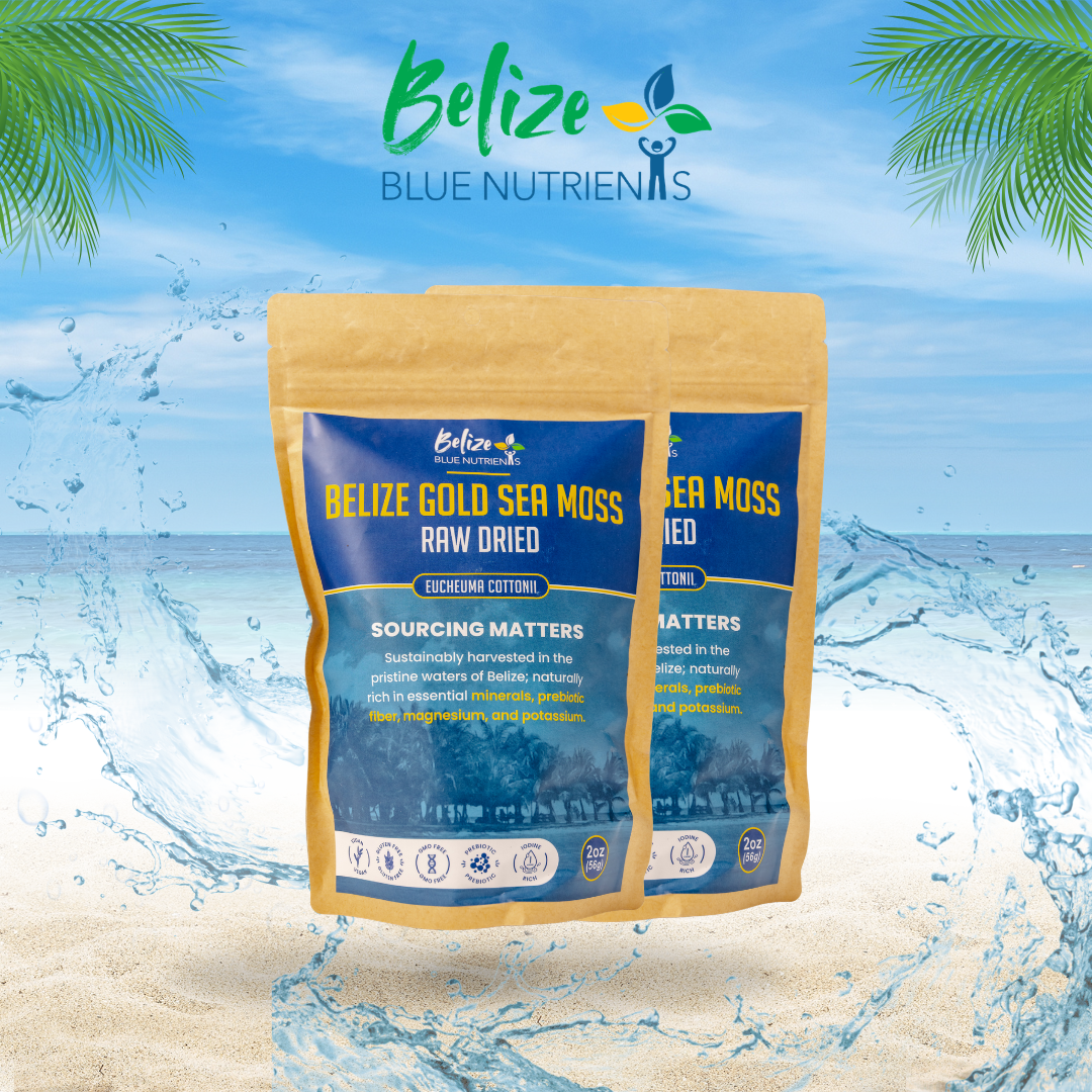 Belize Gold Sea Moss - Raw Dried (Eucheuma Cottonii) 2oz - Bundle of 2