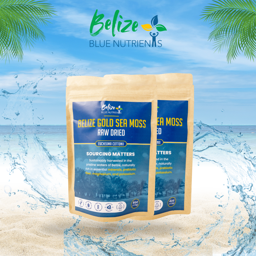 Belize Gold Sea Moss - Raw Dried (Eucheuma Cottonii) 4oz - Bundle of 2