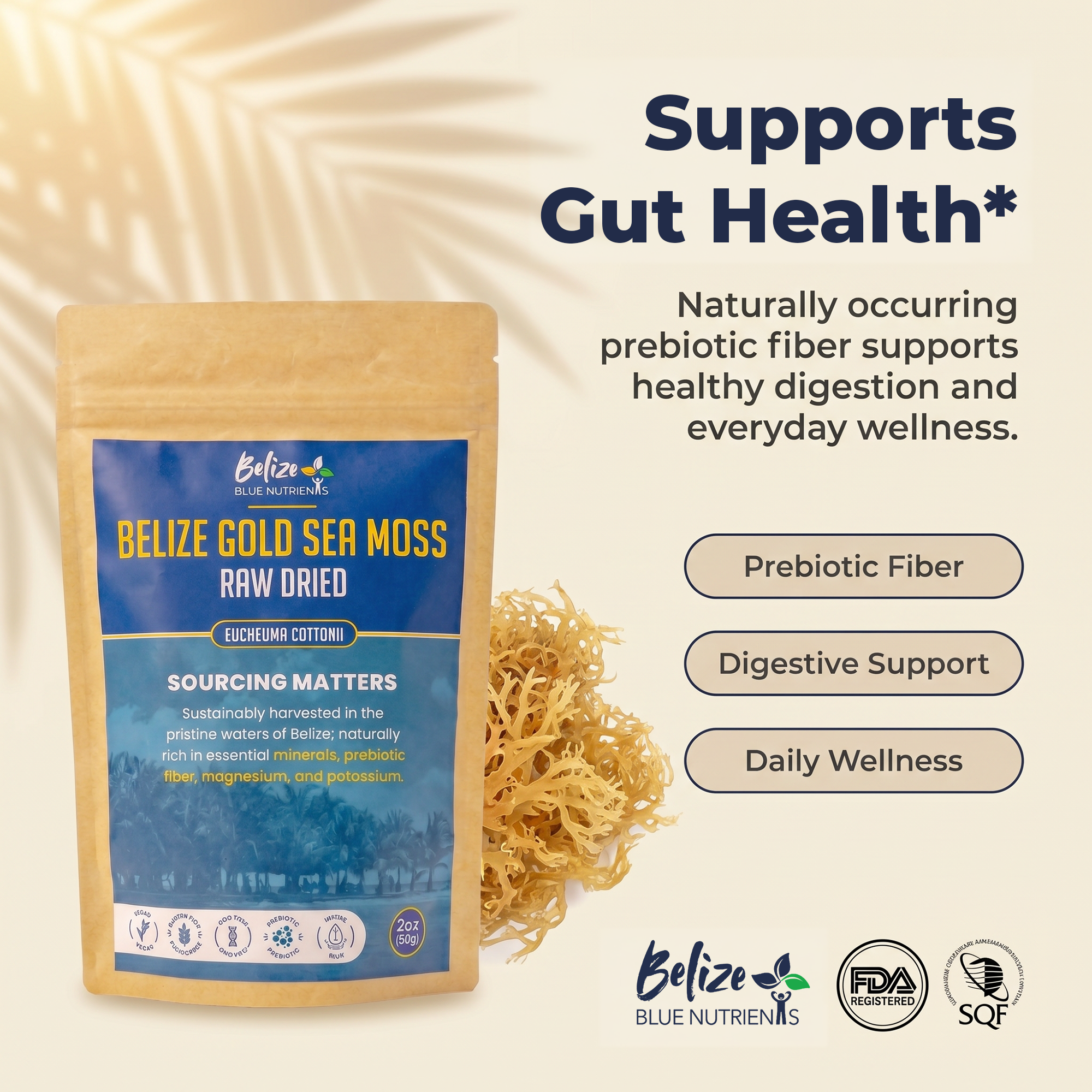 Belize Blue Nutrients Sea Moss - Eucheuma Cottonii - 4oz