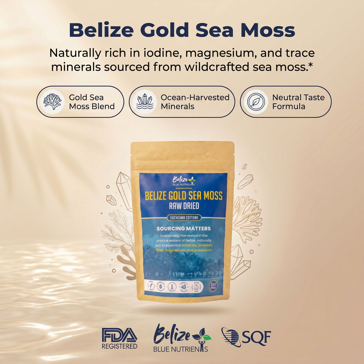 Belize Gold Sea Moss package with product details on a beige background