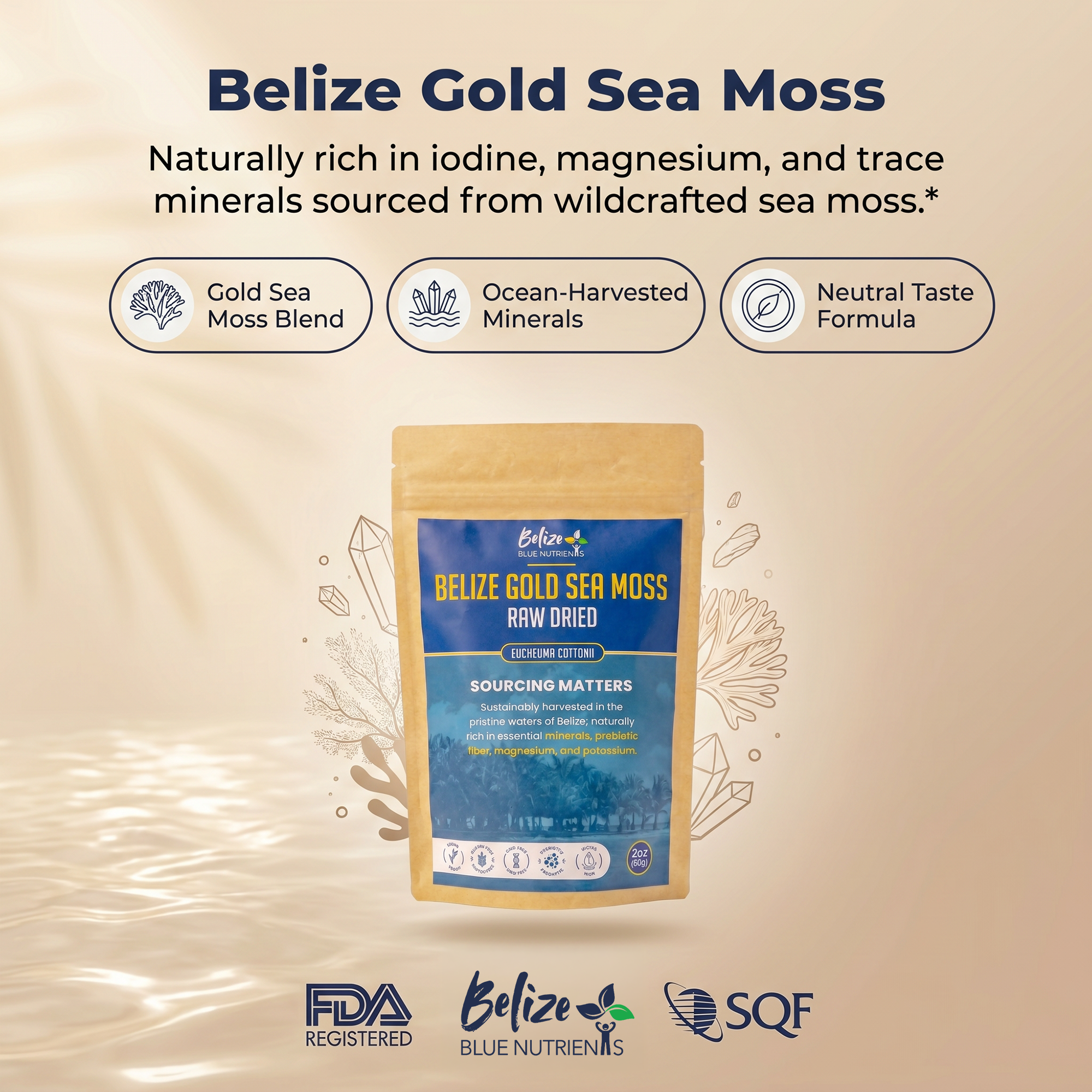 Belize Blue Nutrients Sea Moss - Eucheuma Cottonii - 4oz