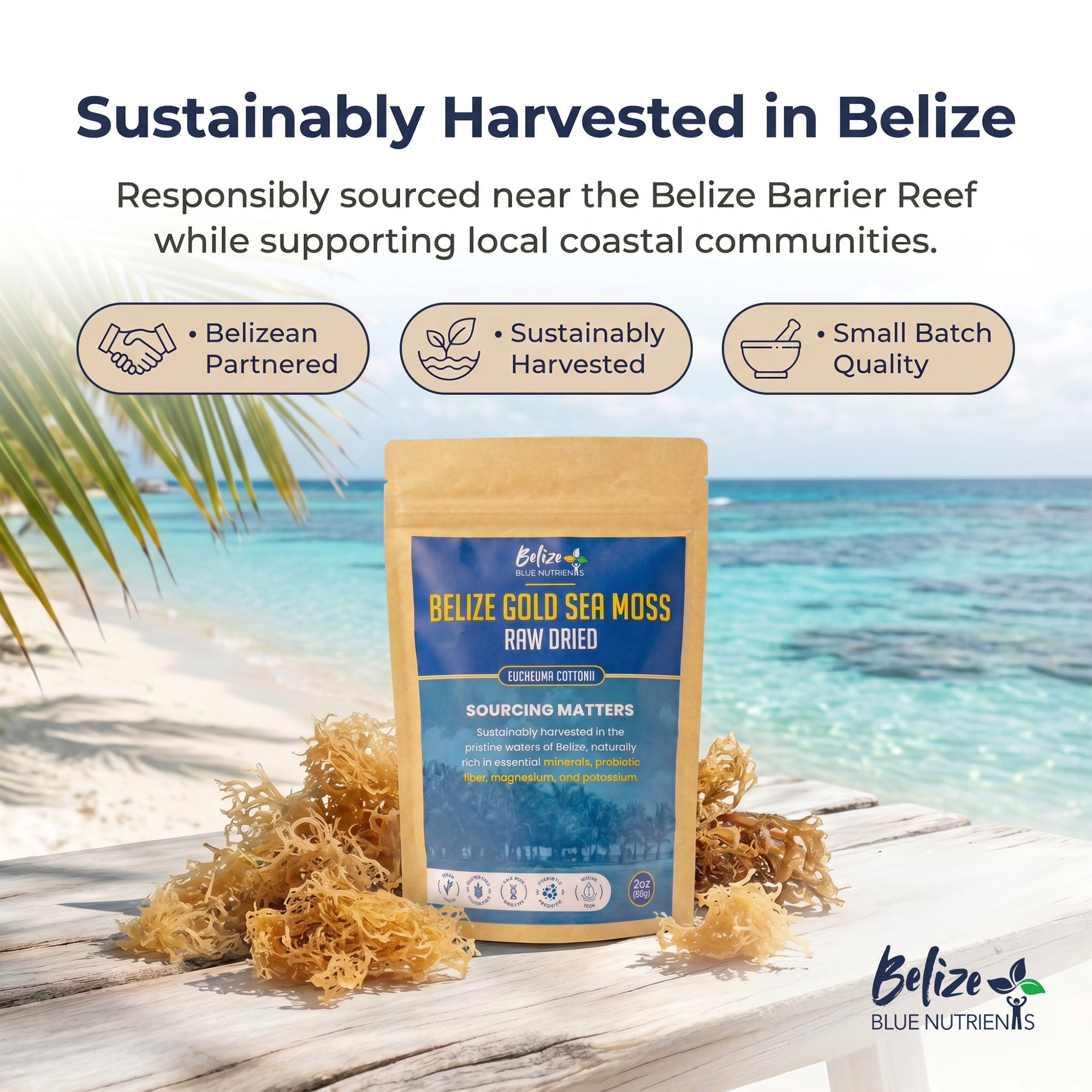 Belize Blue Nutrients Sea Moss - Eucheuma Cottonii - 4oz