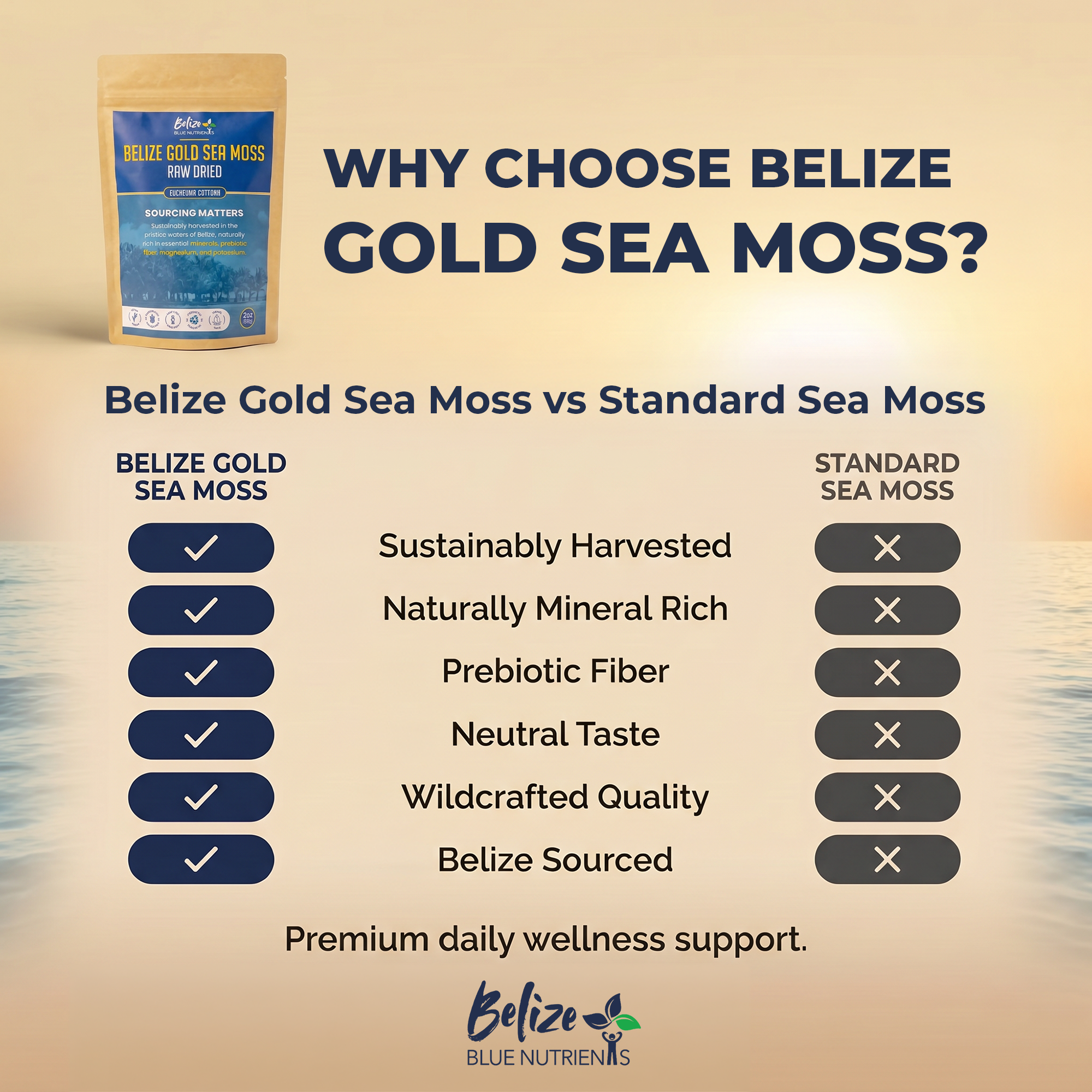 Belize Blue Nutrients Sea Moss - Eucheuma Cottonii - 4oz