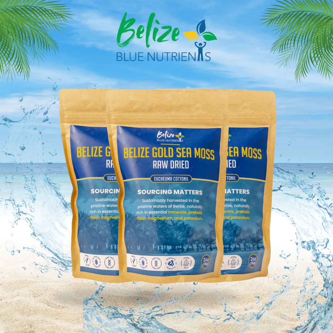 Belize Gold Sea Moss - Raw Dried (Eucheuma Cottonii) 2oz