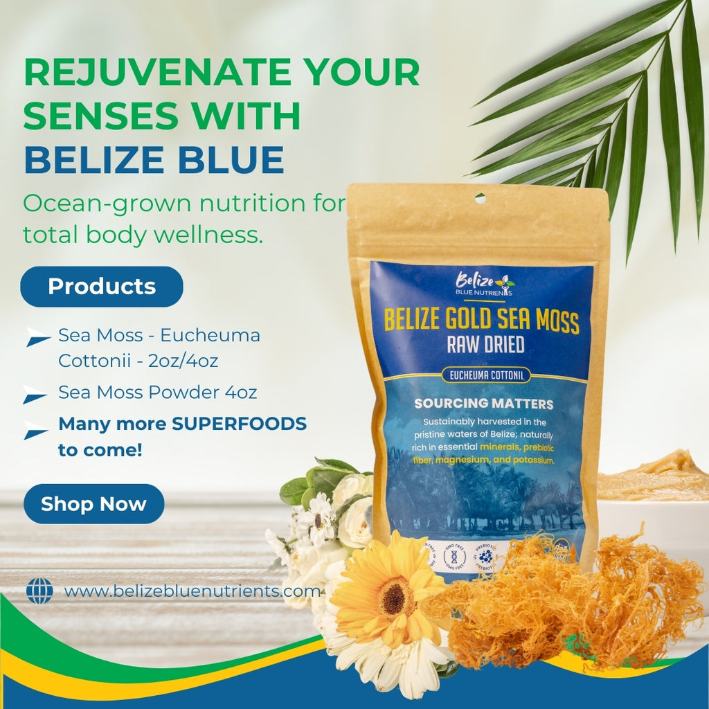 Belize Blue Nutrients Sea Moss - Eucheuma Cottonii - 4oz