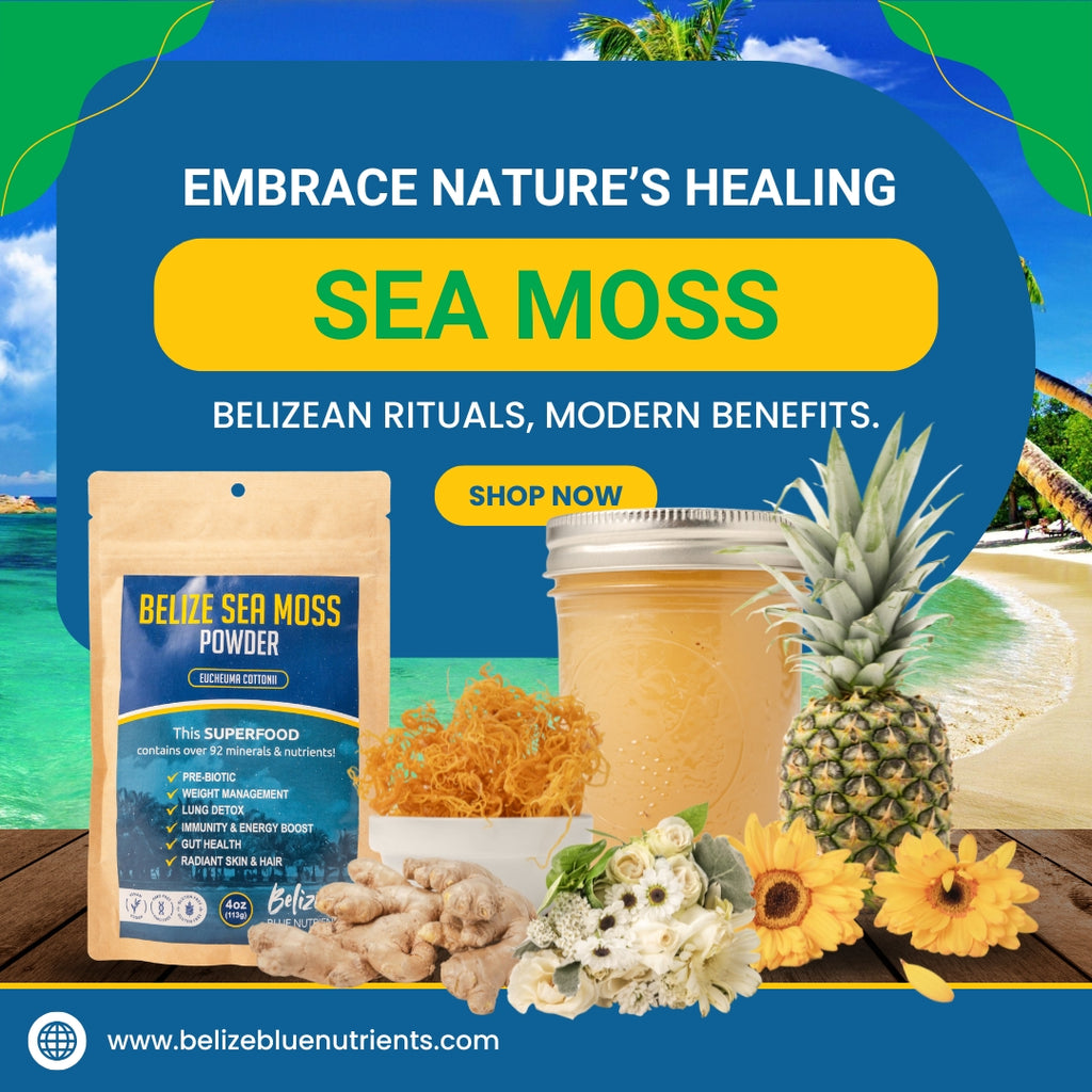 Belize Blue Nutrients Sea Moss - Eucheuma Cottonii - 4oz