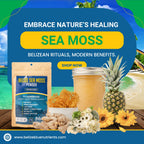 Belize Blue Nutrients Sea Moss - Eucheuma Cottonii - 4oz