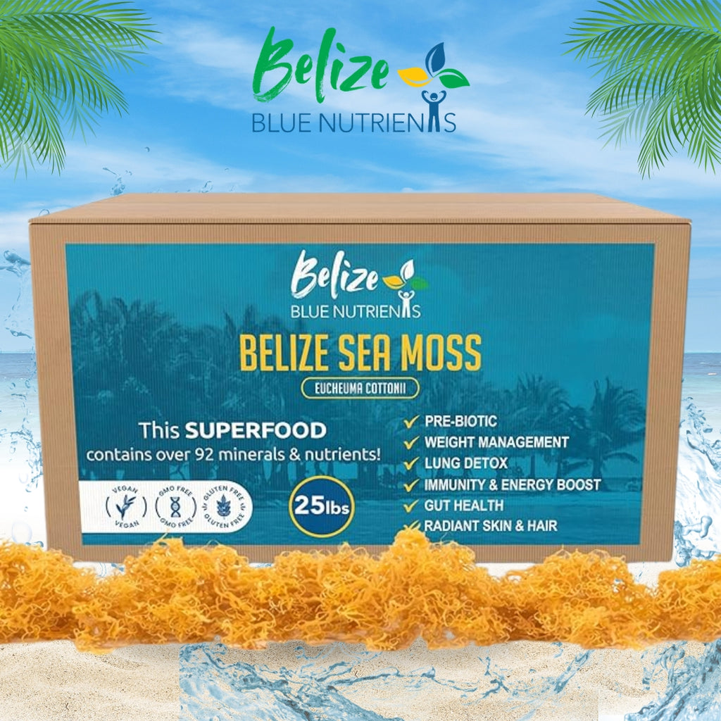 Box of Belize Sea Moss with product details on a scenic background