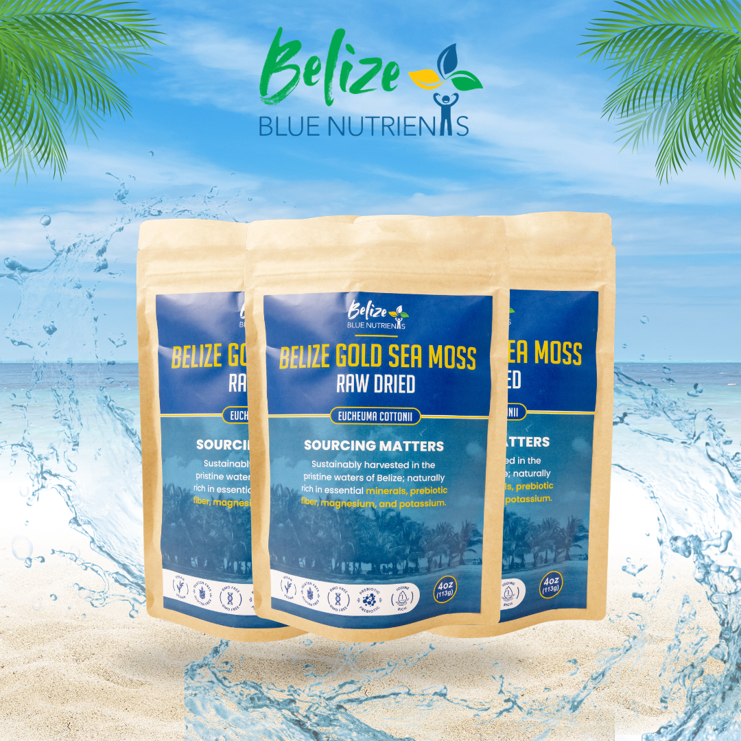 Belize Gold Sea Moss - Raw Dried (Eucheuma Cottonii) 4oz