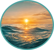 Warm sunlit waters