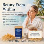 Belize Gold Sea Moss - Powder (Eucheuma Cottonii)