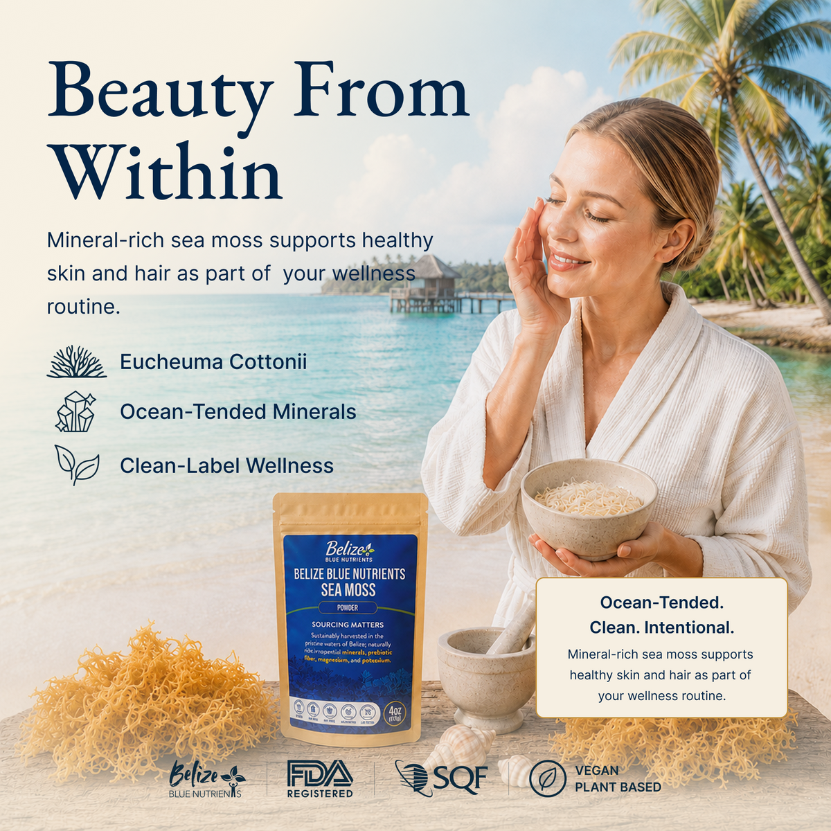 Belize Gold Sea Moss - Powder (Eucheuma Cottonii)