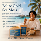 Belize Gold Sea Moss - Powder (Eucheuma Cottonii)