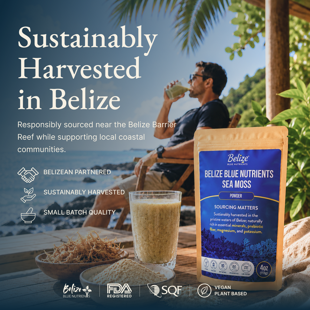 Belize Gold Sea Moss - Powder (Eucheuma Cottonii)