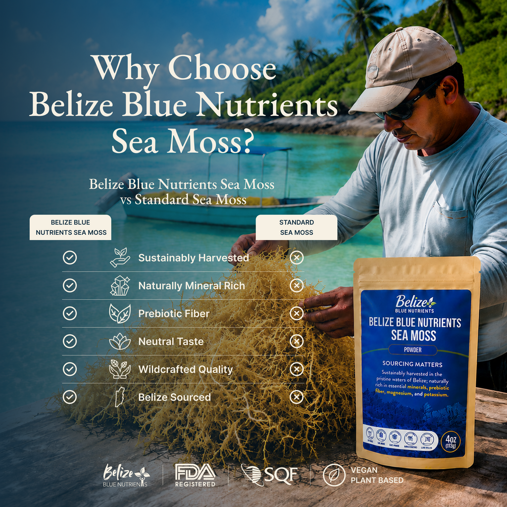 Belize Gold Sea Moss - Powder (Eucheuma Cottonii)