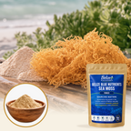 Belize Gold Sea Moss - Powder (Eucheuma Cottonii)