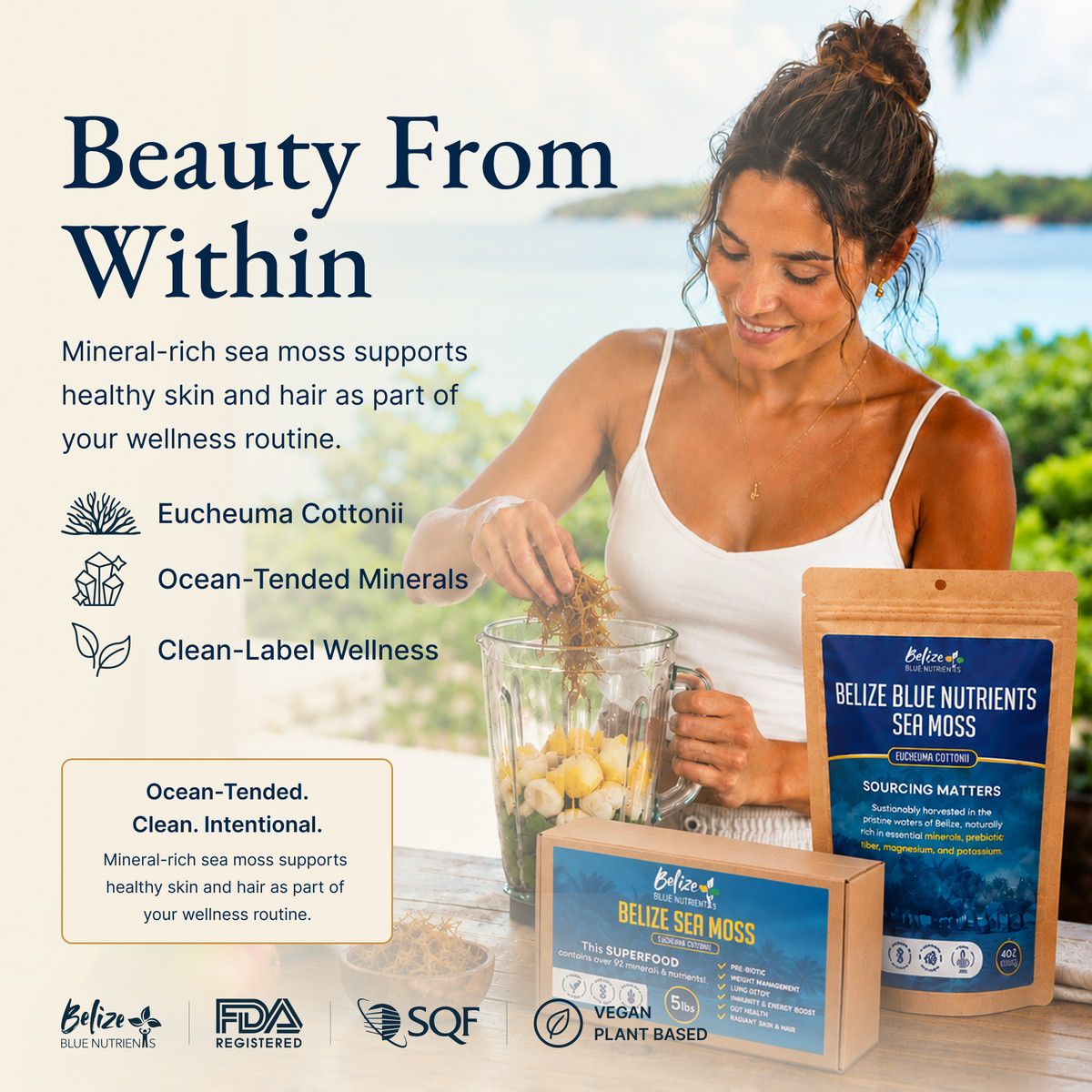 Belize Gold Sea Moss - Raw Dried (Eucheuma Cottonii)