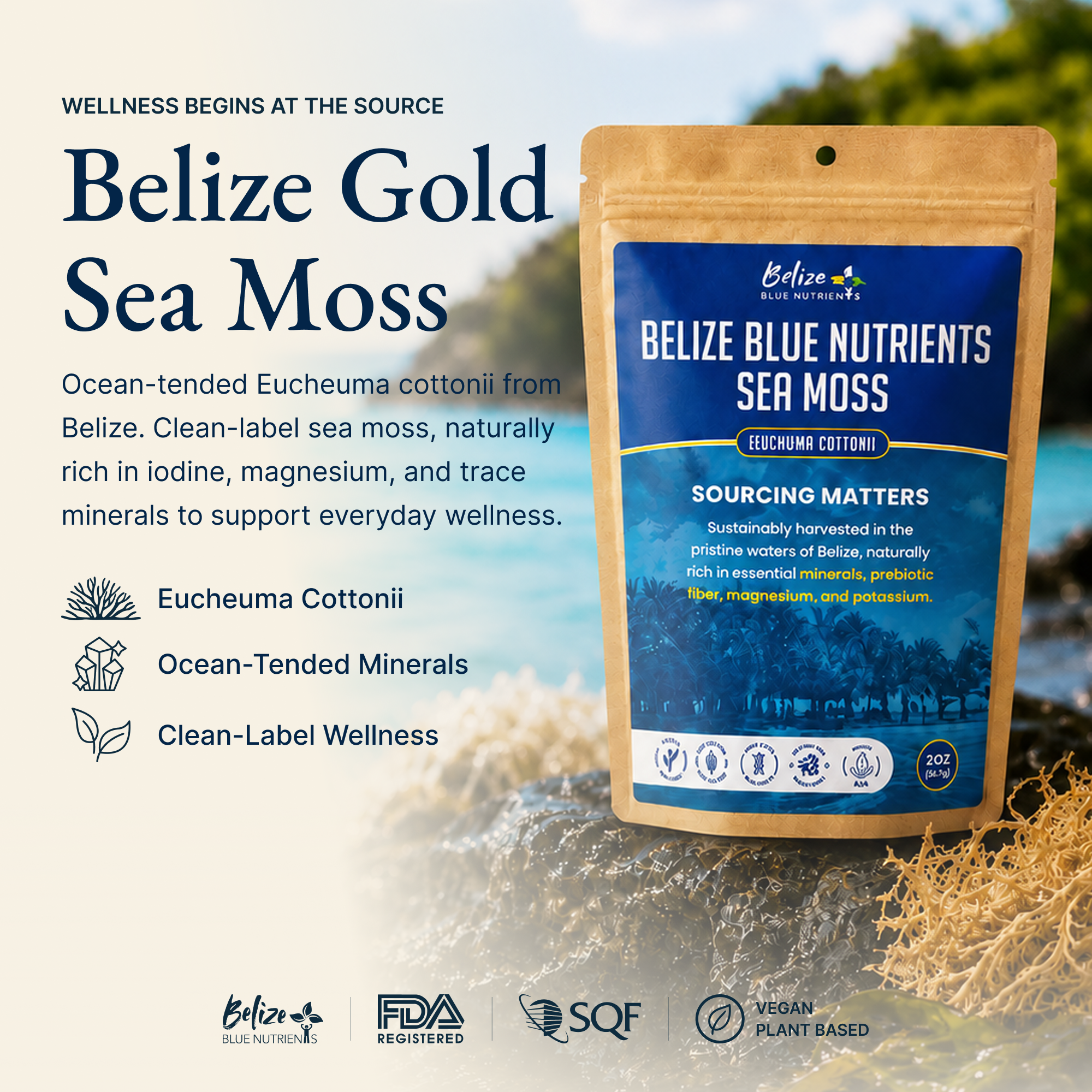 Belize Gold Sea Moss - Raw Dried (Eucheuma Cottonii)