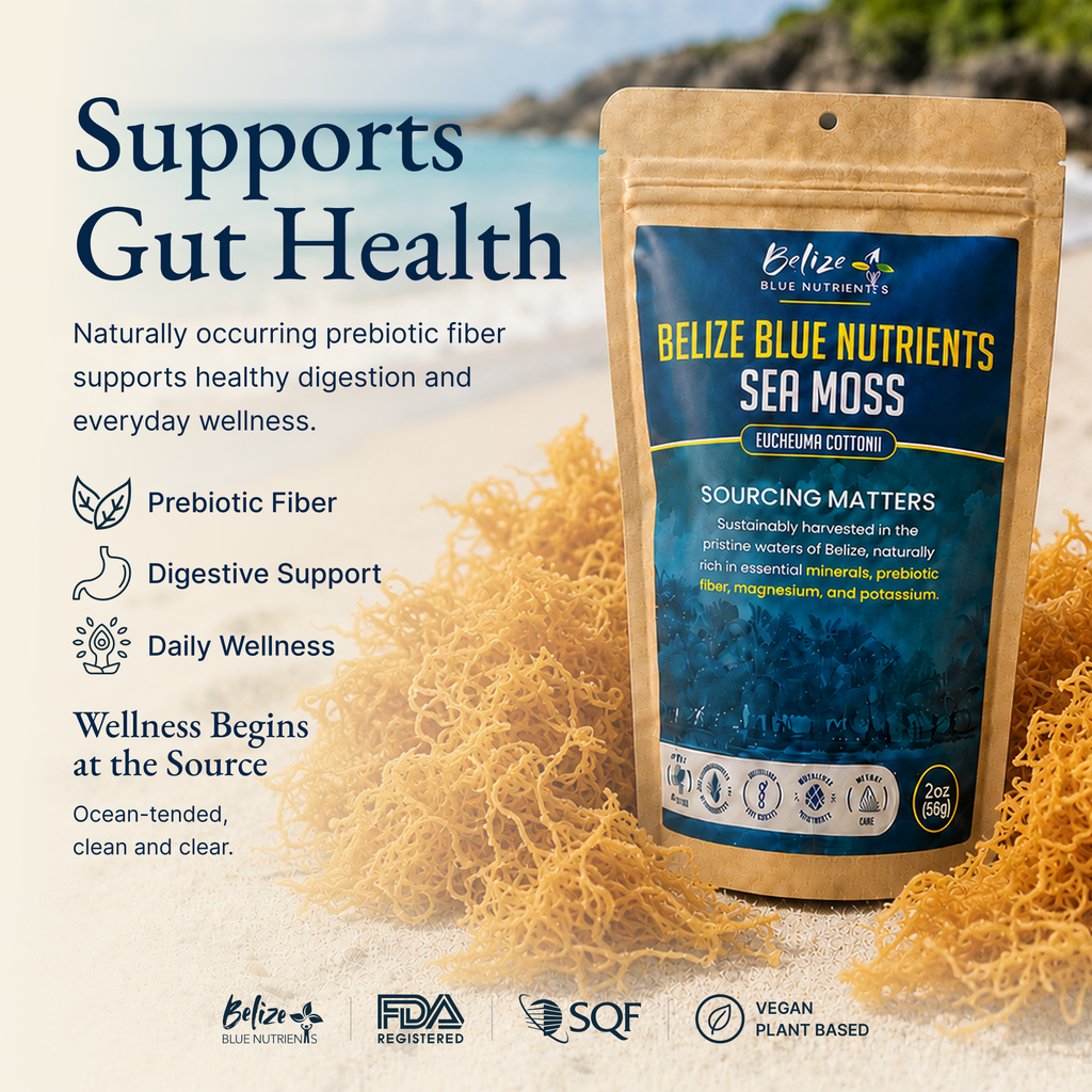 Belize Gold Sea Moss - Raw Dried (Eucheuma Cottonii)