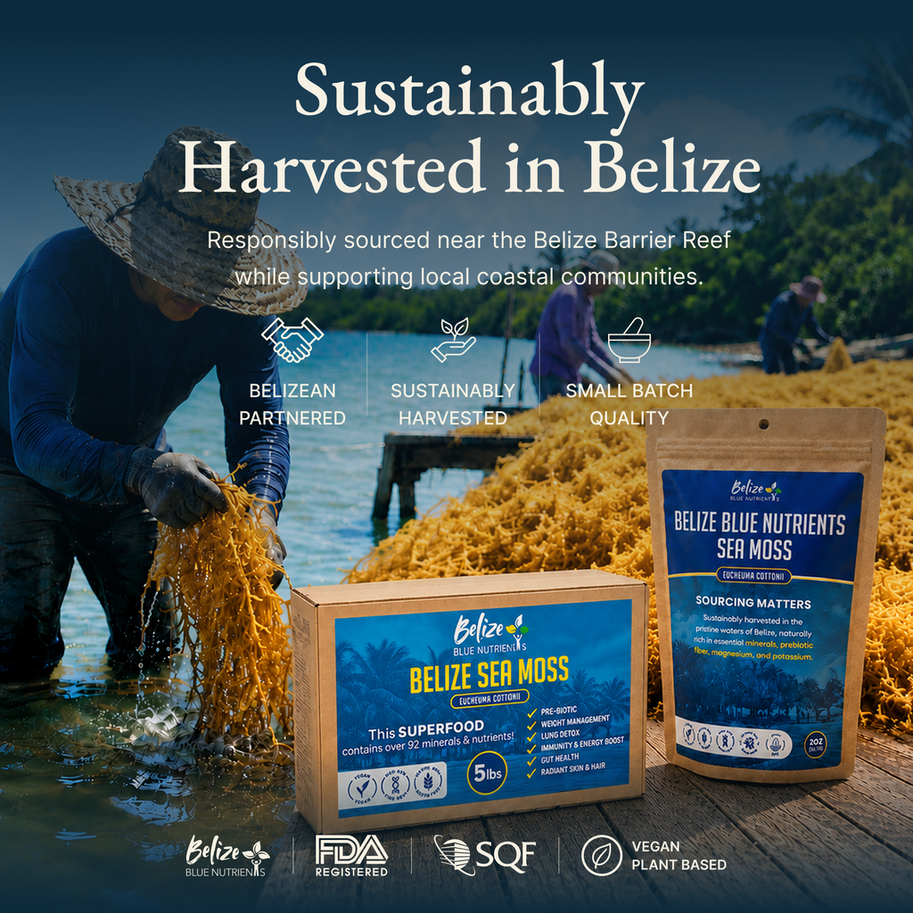 Belize Gold Sea Moss - Raw Dried (Eucheuma Cottonii)