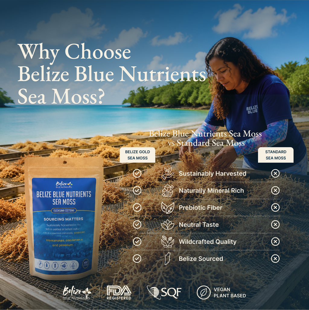 Belize Gold Sea Moss - Raw Dried (Eucheuma Cottonii)