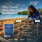 Belize Gold Sea Moss - Raw Dried (Eucheuma Cottonii)