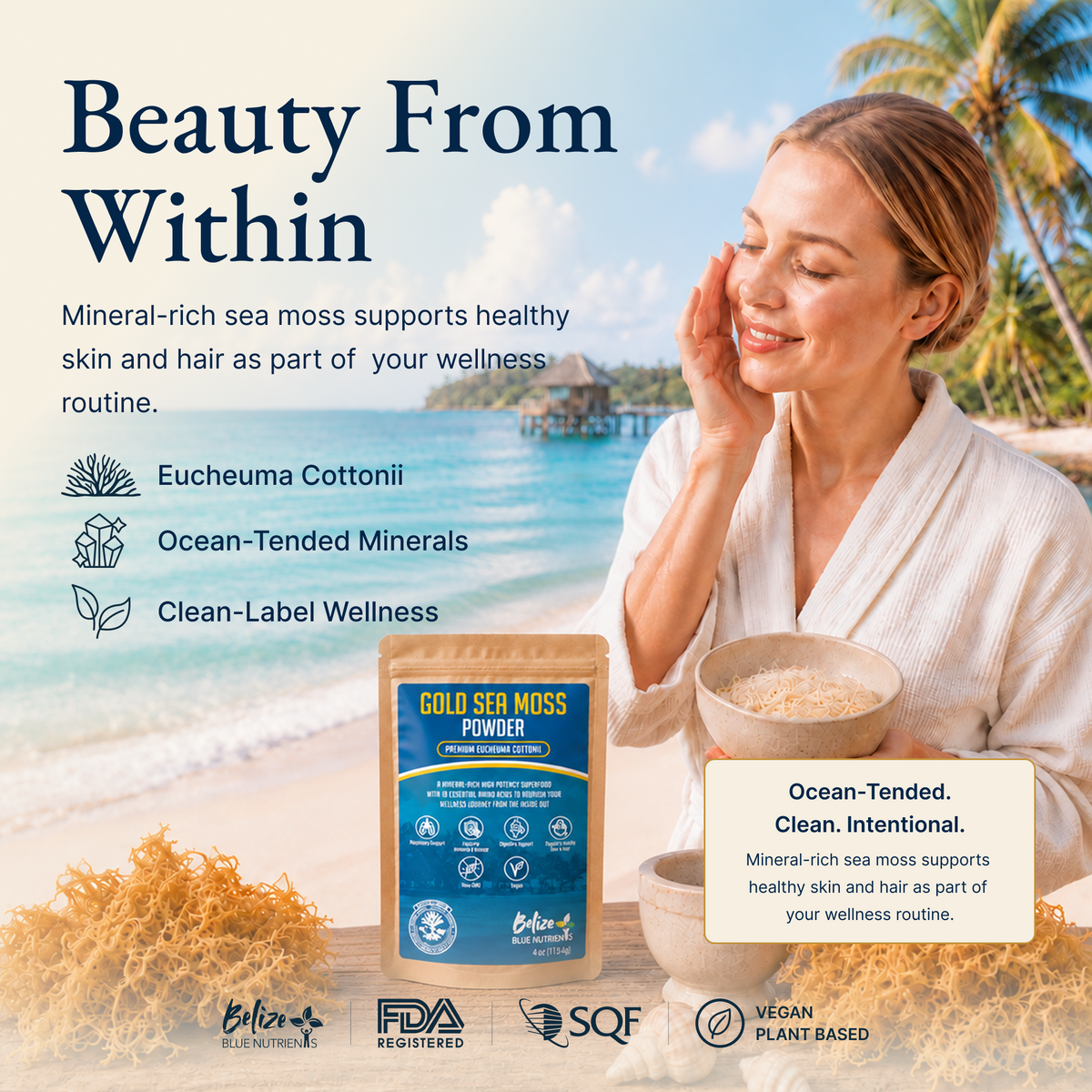 Belize Gold Sea Moss - Powder (Eucheuma Cottonii)