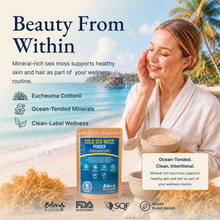 Belize Gold Sea Moss - Powder (Eucheuma Cottonii)