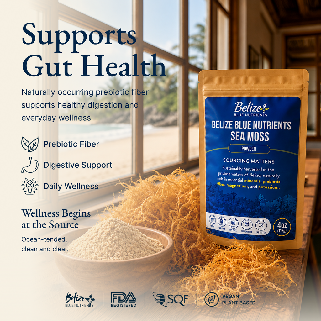 Belize Gold Sea Moss - Powder (Eucheuma Cottonii)
