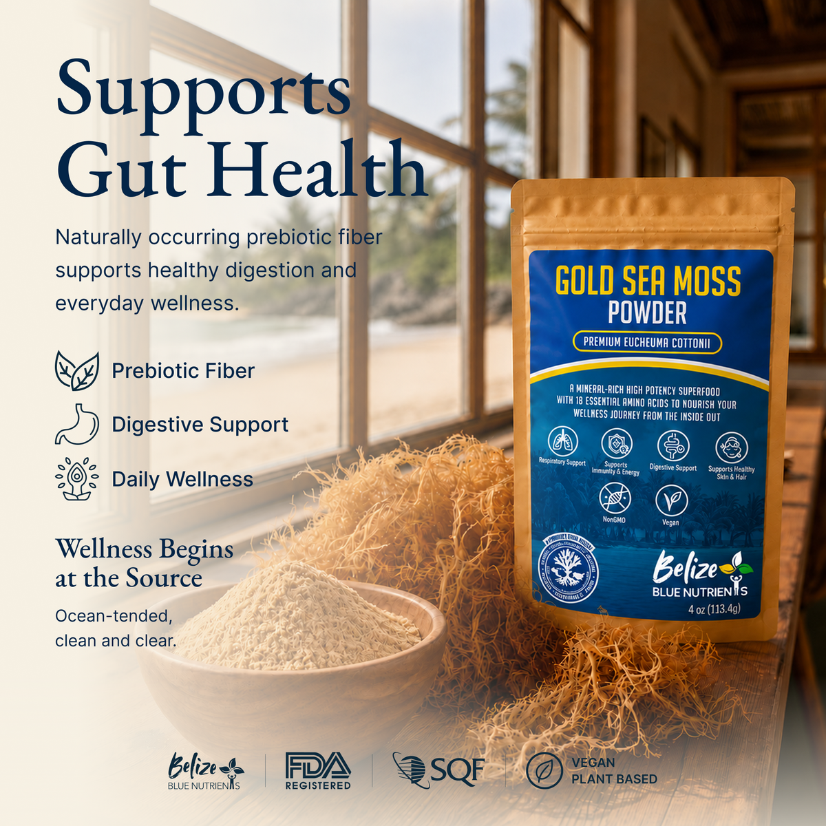 Belize Gold Sea Moss - Powder (Eucheuma Cottonii)