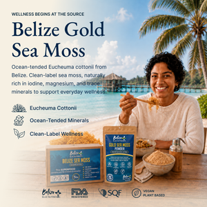 Belize Gold Sea Moss - Powder (Eucheuma Cottonii)
